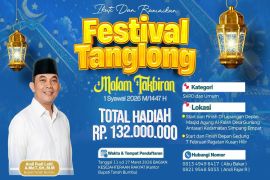 Tanah Bumbu siapkan hadiah Rp132 Juta untuk festival tanglong