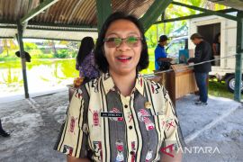 Disnak Nabire pulihkan populasi babi setelah wabah ASF