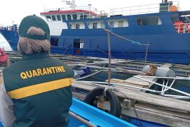 BKHIT Maluku fasilitasi ekspor 18 ton komoditas perikanan ke Jepang