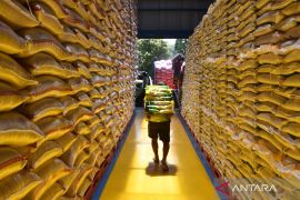 Mentan: Ketersediaan pangan khususnya beras aman