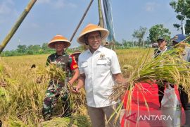 Wakil Ketua Komisi IV DPR RI pimpin kegiatan panen raya di Klaten