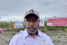 DLH Kabupaten Jayapura lakukan pemangkasan pohon di ruas Jalan Sentani