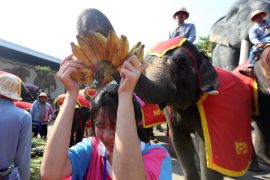 Album Asia: Menengok perayaan Hari Gajah Nasional Thailand di Pattaya