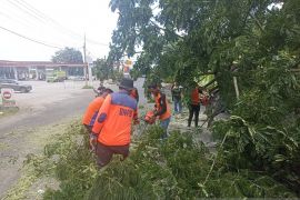 BPBD OKU siagakan posko di jalur rawan longsor