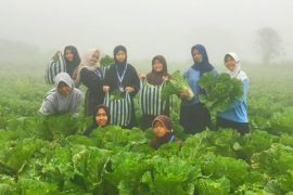 Kampung Susu Lawu Magetan kembangkan paket wisata konsep alam