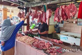 DKPP Belitung: Harga daging sapi Rp160 ribu per kilogram