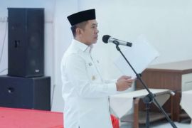 Bupati Karawang lantik kepala desa terpilih hasil Pilkades digital
