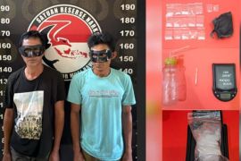 Polisi tangkap lima pelaku narkoba di perkebunan sawit Musi Rawas