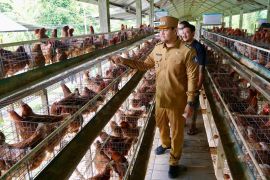 Badung-Bali pastikan ketersediaan pangan jelang Nyepi dan Idul Fitri