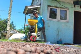 Ekosistem kopi berkelanjutan tumbuh di lereng Gunung Salak