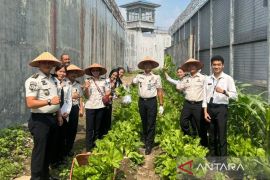 Lapas Kelas I Medan panen 300 kg sawi pahit, perkuat pembinaan kemandirian WBP