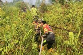 Jaga lahan gambut jelang El Nino kuat