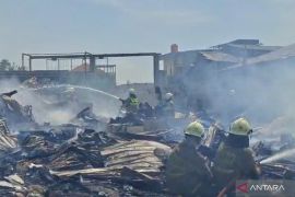 Kebakaran lahap sejumlah bangunan di Tegal Alur Jakarta Barat