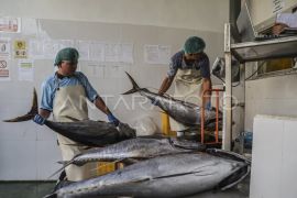 Indonesia's fishery exports reach US$983 million as of March 2026