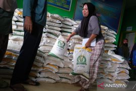 Indef nilai stok dan distribusi kunci stabilitas harga pangan