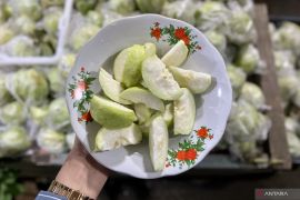 Jambu kristal jadi pilihan pemudik untuk perjalanan di Jalur Pansela