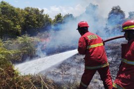 Pemkab Natuna padamkan karhutla seluas 12 hektare