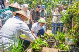 Wakil Kepala BGN mengapresiasi Gertaman dukung pasokan MBG Bandung