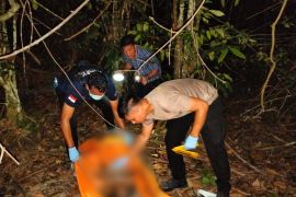 Ditemukan kerangka manusia di lahan masyarakat dalam kondisi terpisah di Minas,diduga pria asal Pekanbaru