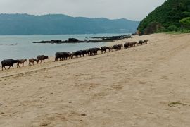 Bupati Lombok Tengah ingatkan pengawasan wisata jelang libur Lebaran