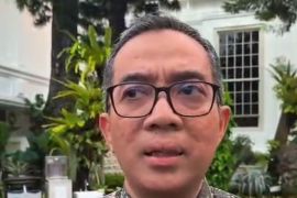 Mendiktisaintek: Presiden minta kajian cepat efisiensi penggunaan BBM