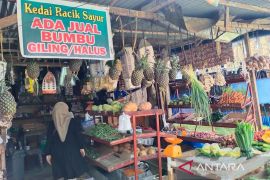 Permintaan bumbu di Pulau Simeulue mulai ramai jelang Idul Fitri
