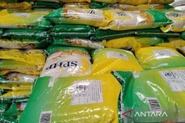 Mentan: Beras SPHP ukuran 2 kg dalam tahap desain kemasan