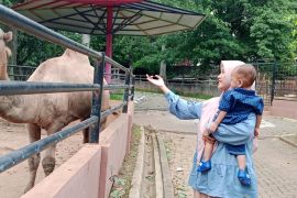 Semarang Zoo target 60 ribu wisatawan selama libur Lebaran