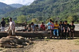 Persiapan tradisi Meugang penyintas bencana di Gayo Lues Aceh