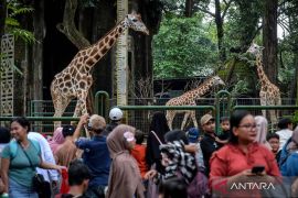 DKI kemarin, ribuan orang kunjungi Ragunan hingga kebakaran di Jakut