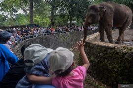 Taman Margasatwa Ragunan dipadati pengunjung di hari kedua Lebaran