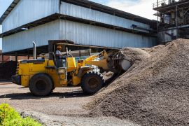 Limbah kelapa sawit potensial jadi produk bernilai tambah