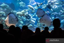 Pengunjung Ancol capai 201.465 orang selama libur Lebaran