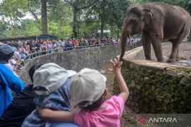 80.790 wisatawan kunjungi Ragunan H+2 Lebaran