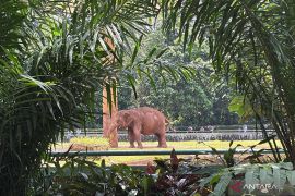 Taman Margasatwa Ragunan mulai dipadati pengunjung sedari pagi
