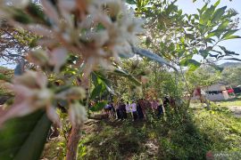 Ratapan di pusara tanpa nama