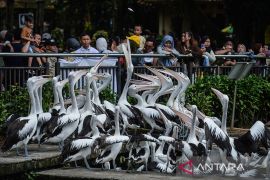 Pengunjung padati Taman Margasatwa Ragunan sejak pagi hari