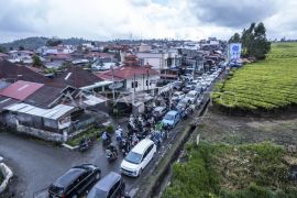 Macet panjang di Jalan Lintas Jambi-Sumbar