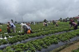 Polres Kerinci jamin kenyamanan wisatawan selama libur Lebaran