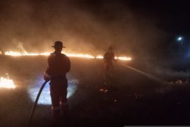 BPBD Belitung imbau masyarakat waspada karhutla