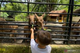 Destinasi wisata di Garut ramai saat libur Lebaran