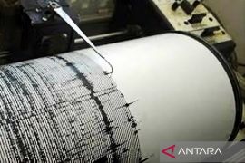 Lima gempa tektonik dangkal guncang Koltim dan Kendari