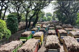 PG Ngadirejo Kediri target giling tebu 10,6 juta kuintal di 2026