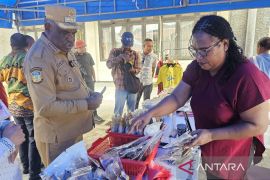 Apindo gerakkan UMKM Papua bangun ekosistem usaha baru berkelanjutan