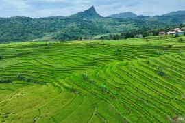 Sukamakmur jadi prioritas pusat pertumbuhan ekonomi baru Bogor Timur