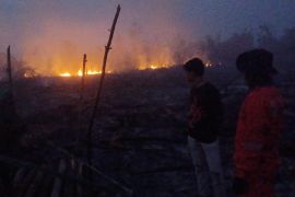 BPBD Kotim berjibaku padamkan dua kebakaran lahan di Sampit