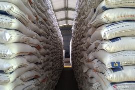 Usai libur lebaran, harga beras di Bali stabil