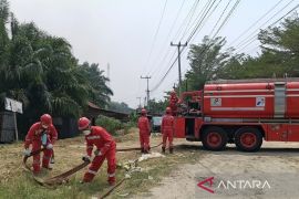 Siaga Lebaran, Tim Pemadam Kebakaran PHR Ikut Terjun Padamkan Karhutla di Dumai