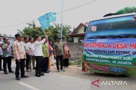 Perdana 107 sapi Dompu dipasok ke Jakarta jelang Idul Adha