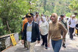 Gubernur optimalkan Tanjung Puting pacu pariwisata Kalimantan Tengah